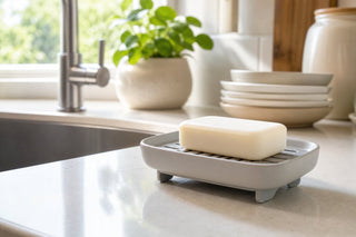 Can a Better Soap Dish Keep Kitchen and Bathroom Counters Cleaner?