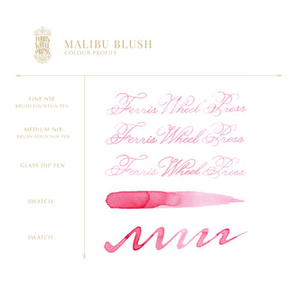 Malibu Blush | 38ml Ink | Ferris Wheel Press showing calligraphy and blush pink ink swatches on white background