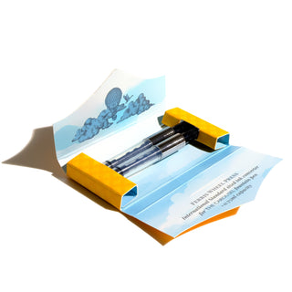 The Carousel Fountain Pen Converter Set | Ferris Wheel Press with transparent ink reservoirs and yellow packaging