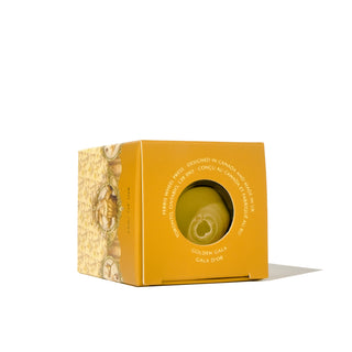 28ml Calligraphy Ink - Golden Gala | Ferris Wheel Press box showing ink bottle through circular window