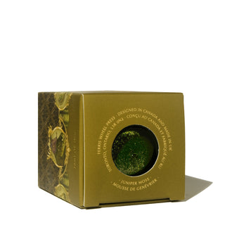 28ml Calligraphy Ink - Juniper Moss | Ferris Wheel Press shows green ink bottle through gold packaging window