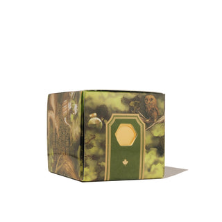 Lost in the Leaves | 20ml Ink | Ferris Wheel Press in decorative green foliage-themed box with owl design