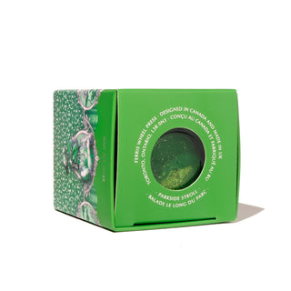 28ml Calligraphy Ink - Parkside Stroll | Ferris Wheel Press green ink bottle in green packaging box viewed from front angle