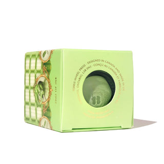 28ml Calligraphy Ink - Perm Pistachio | Ferris Wheel Press light green boxed ink with circular window