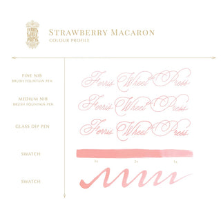 Strawberry Macaron | 38ml Ink | Ferris Wheel Press pink calligraphy samples with brush and dip pen strokes