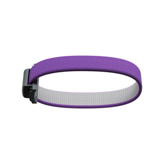 Secrid Additional Band elastic strap in purple with stainless steel buckle for extra card capacity