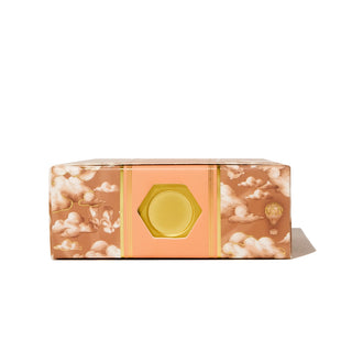 Terracotta Canyon 38ml Ink by Ferris Wheel Press in decorative box with cloud and hot air balloon design