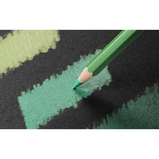 Caran d'Ache Pablo Colour Pencil in green with smooth, vibrant pigment on textured black paper