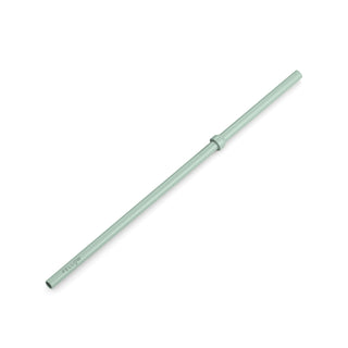 Fellow Carter Cold Replacement Straw (20oz/591ml) in matte green Tritan material with smooth finish