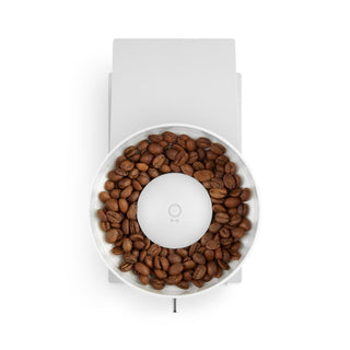 FELLOW Opus Conical Burr Grinder (120V) top view with dark roasted coffee beans in clear hopper