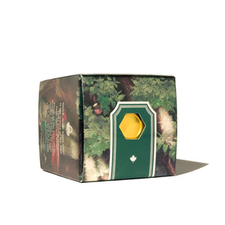 Cloak and Forest Fountain Pen Inks - 20ml Bottled | Ferris Wheel Press packaging with forest-themed design and gold seal emblem.